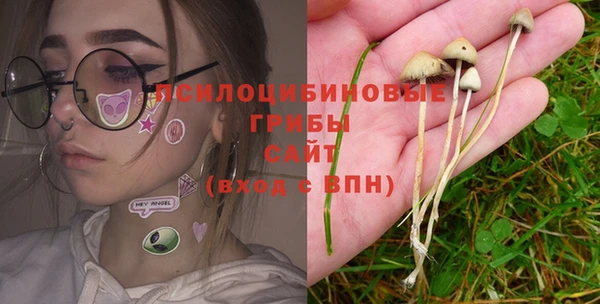ALPHA-PVP Медвежьегорск