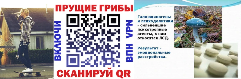 Галлюциногенные грибы мицелий  наркота  Подпорожье 